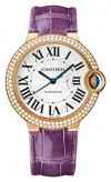 Cartier WE900551